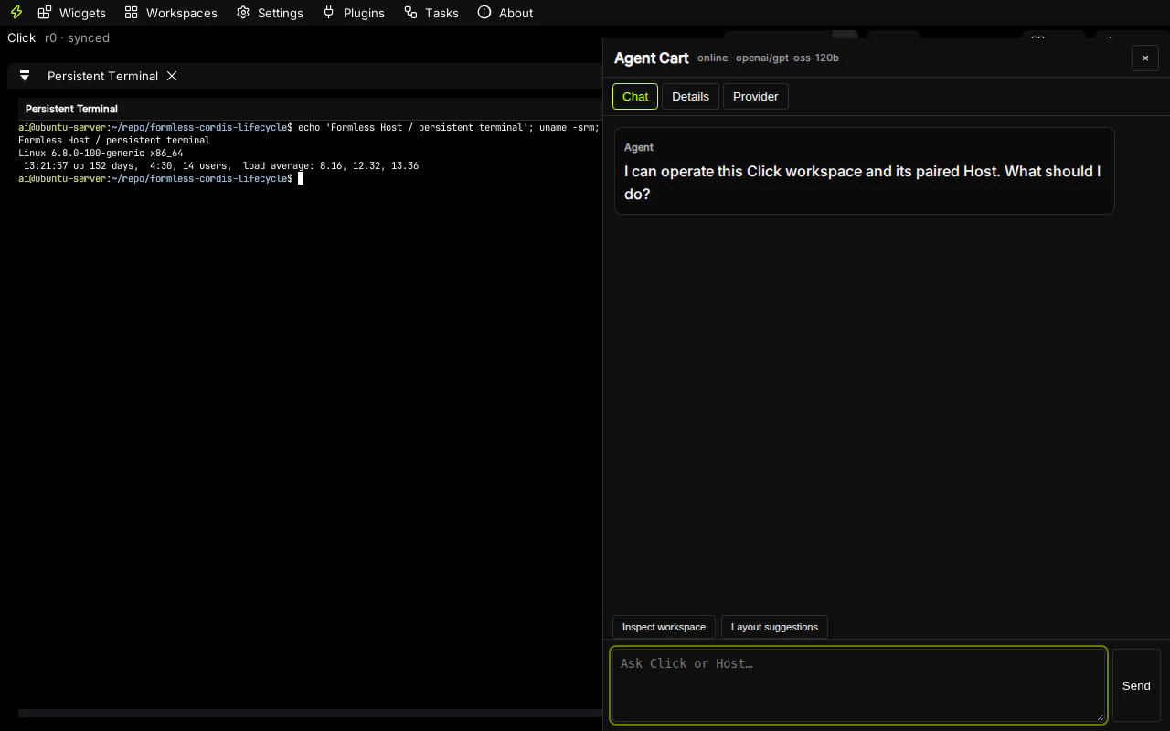 Persistent terminal widget and Agent Cart in Click